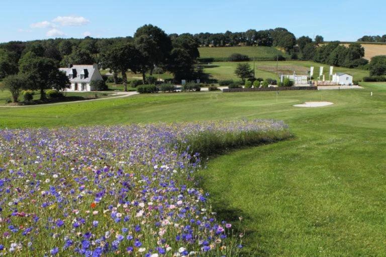Le Petit Recoin Apartamento Carhaix-Plouguer